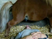 Animal Porn Tube - Zoophilia urine fetish